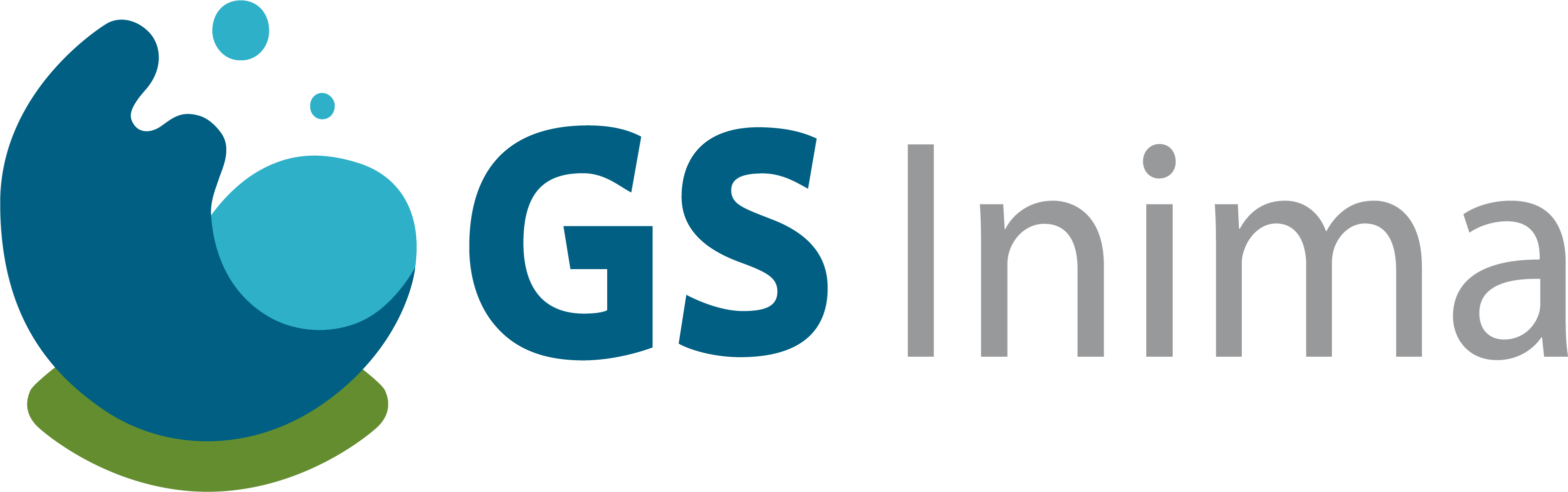 GS Inima